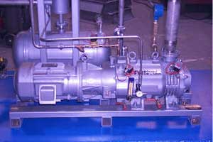 Chemical Duty Dry Vacuum Pump